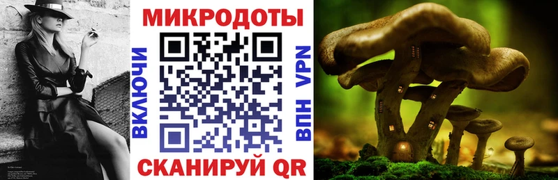 Псилоцибиновые грибы MAGIC MUSHROOMS Городовиковск